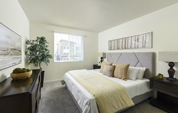 Plush bedroom carpet
